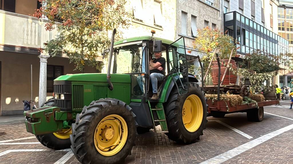 Festa dell'uva Gallarate - Sfilata carri allegorici