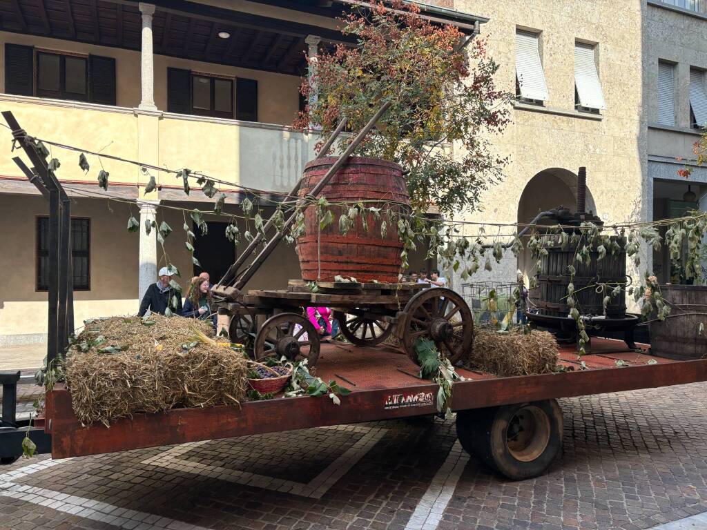 Festa dell'uva Gallarate - Sfilata carri allegorici