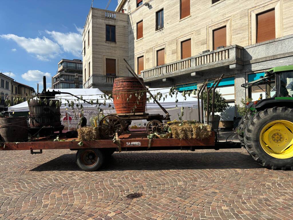 Festa dell'uva Gallarate - Sfilata carri allegorici