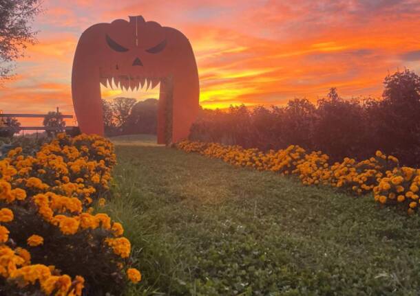 Festa della zucca - Il Roccolo