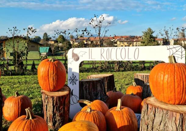 Festa della zucca - Il Roccolo