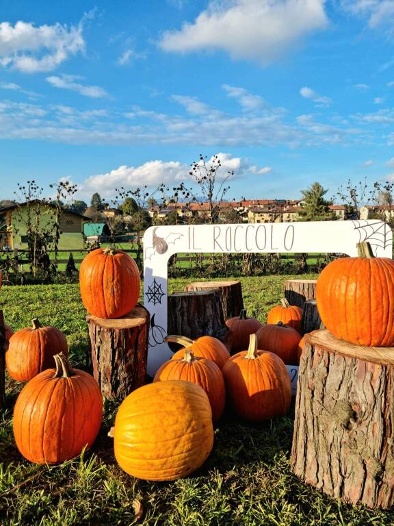 Festa della zucca - Il Roccolo