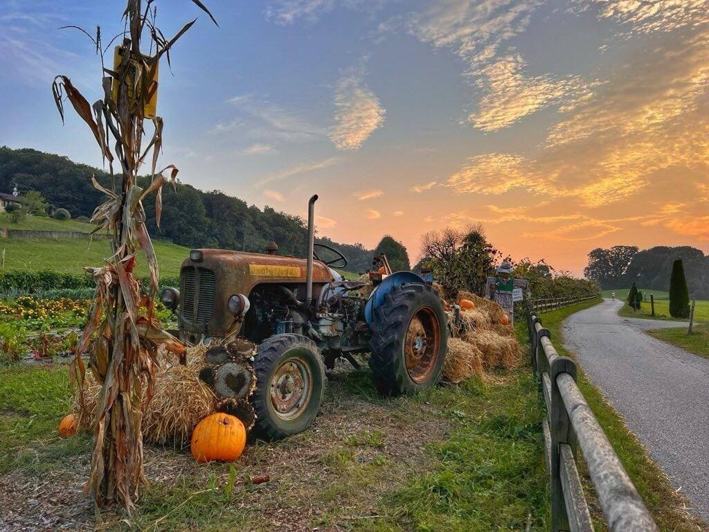 Festa della zucca - Il Roccolo