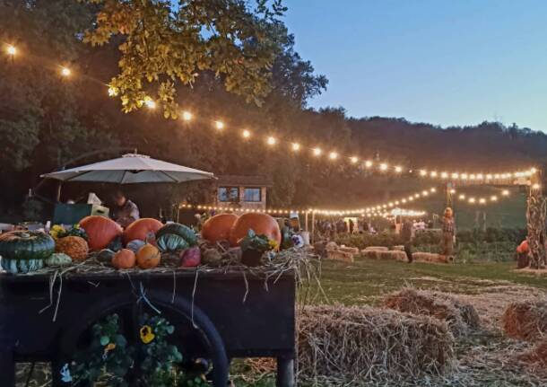 Festa delle zucche presso “Il Roccolo” di Vegonno