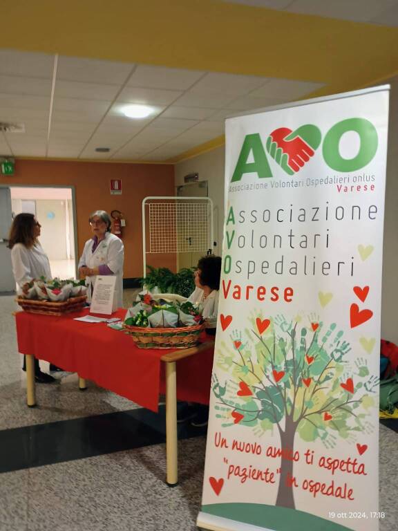 Giornata AVO Volontari in ospedale