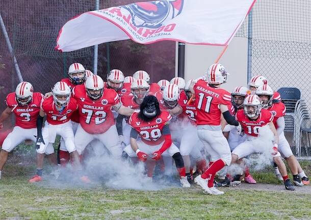 gorillas varese football americano