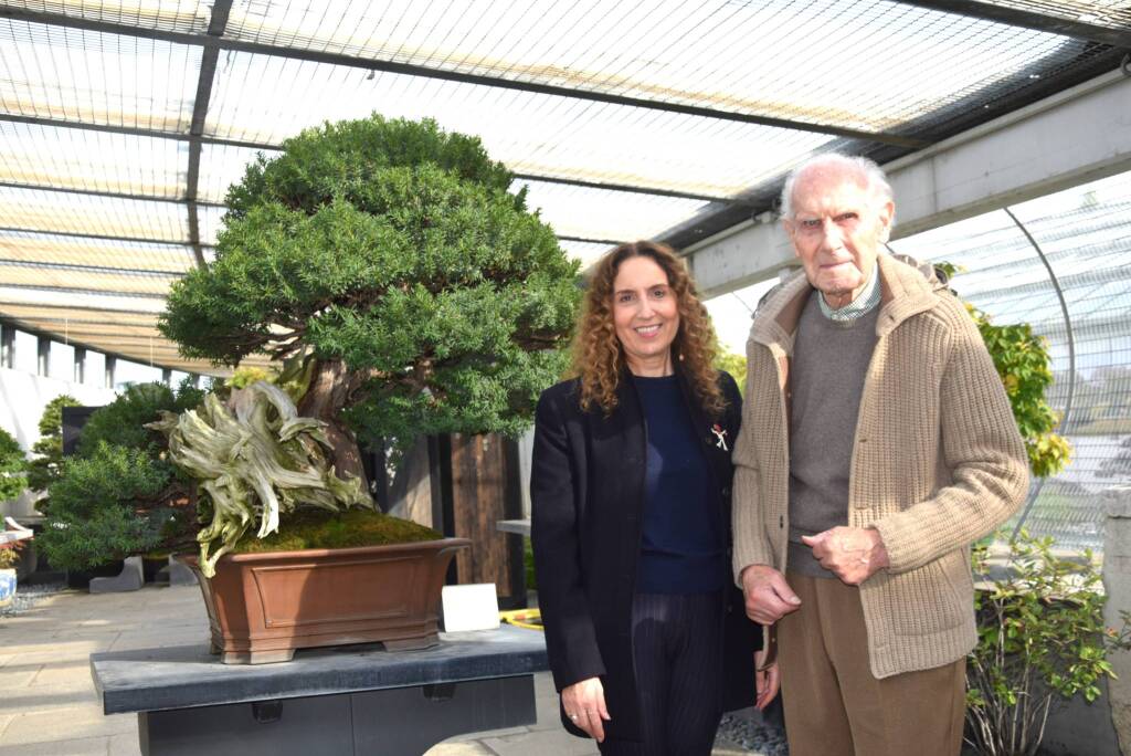 Museo Crespi Bonsai 