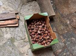 Successo per la castagnata al Sacro Monte per accendere le lucine