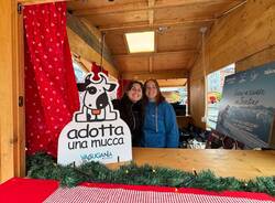 Torna in  piazza Monte Grappa  a Varese Trentino in piazza