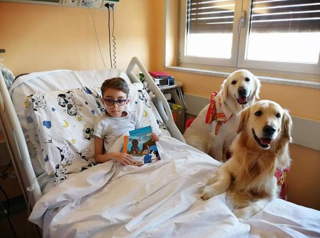 Tre librerie all'Ospedale Buzzi per ricordare Francesco, il piccolo guerriero di Busto Garolfo scomparso a 11 anni