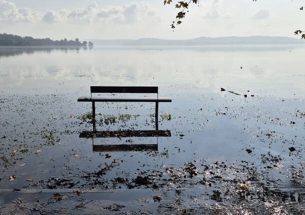 Acqua sul lago di Varese