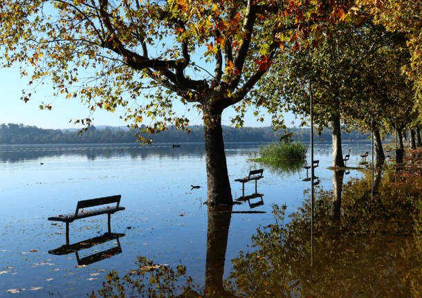 Primo Novembre al lago