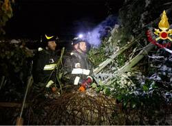 Alberi sulle auto, piante cadute: i danni della neve in Vco