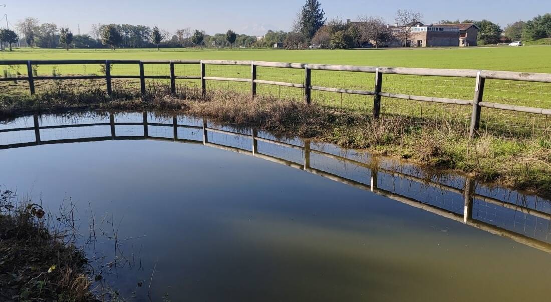 Cipta stagno didattico 