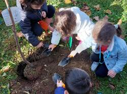 festa alberi malnate legambiente