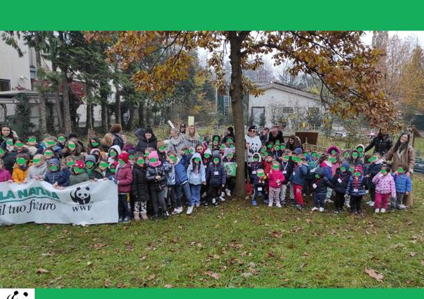 Nuove piante alle Pascoli di Legnano per la Festa dell’Albero