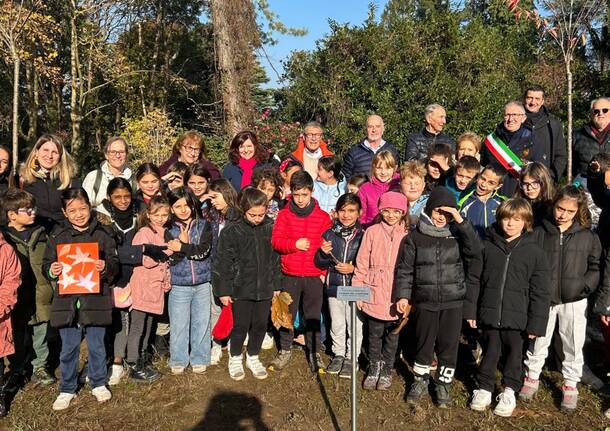 Festa dell'albero gazzada schianno