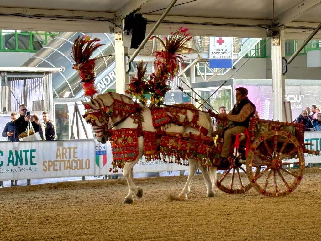 Fieracavalli 2024