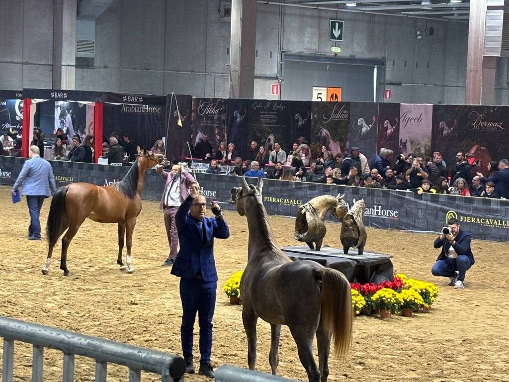 Fieracavalli 2024