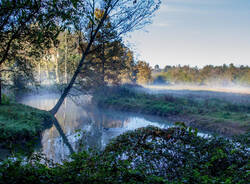 foto del giorno 12 novembre 2024 brume e brina valle olona | donatella canavesi