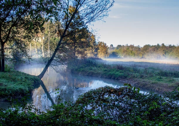 foto del giorno 12 novembre 2024 brume e brina valle olona | donatella canavesi