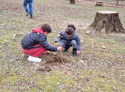 Gerenzano - Festa dell'Albero 2024