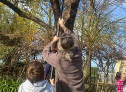 Grande festa del giardino nella scuola primaria di Morosolo