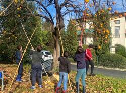 Grande festa del giardino nella scuola primaria di Morosolo