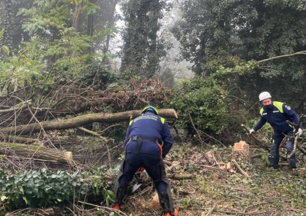 Maxi esercitazione di Protezione Civile, a Parabiago volontari all'opera per il taglio boschivo