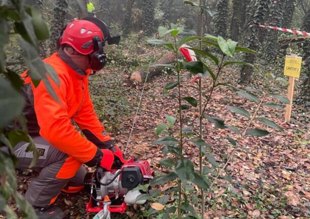 Maxi esercitazione di Protezione Civile, a Parabiago volontari all'opera per il taglio boschivo