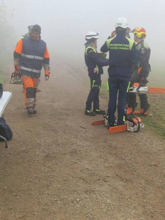 Maxi esercitazione di Protezione Civile, a Parabiago volontari all'opera per il taglio boschivo