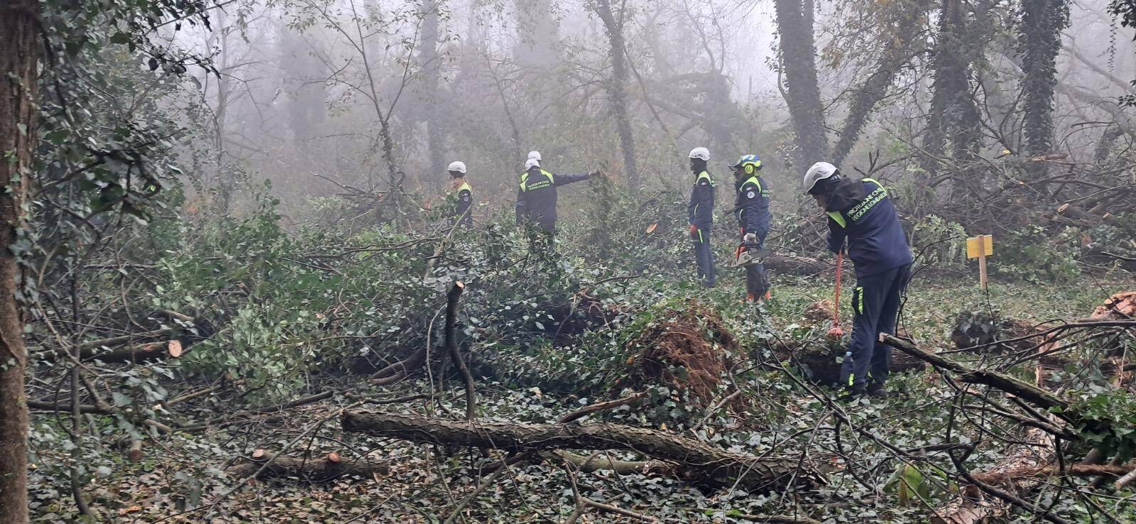 Maxi esercitazione di Protezione Civile, a Parabiago volontari all'opera per il taglio boschivo