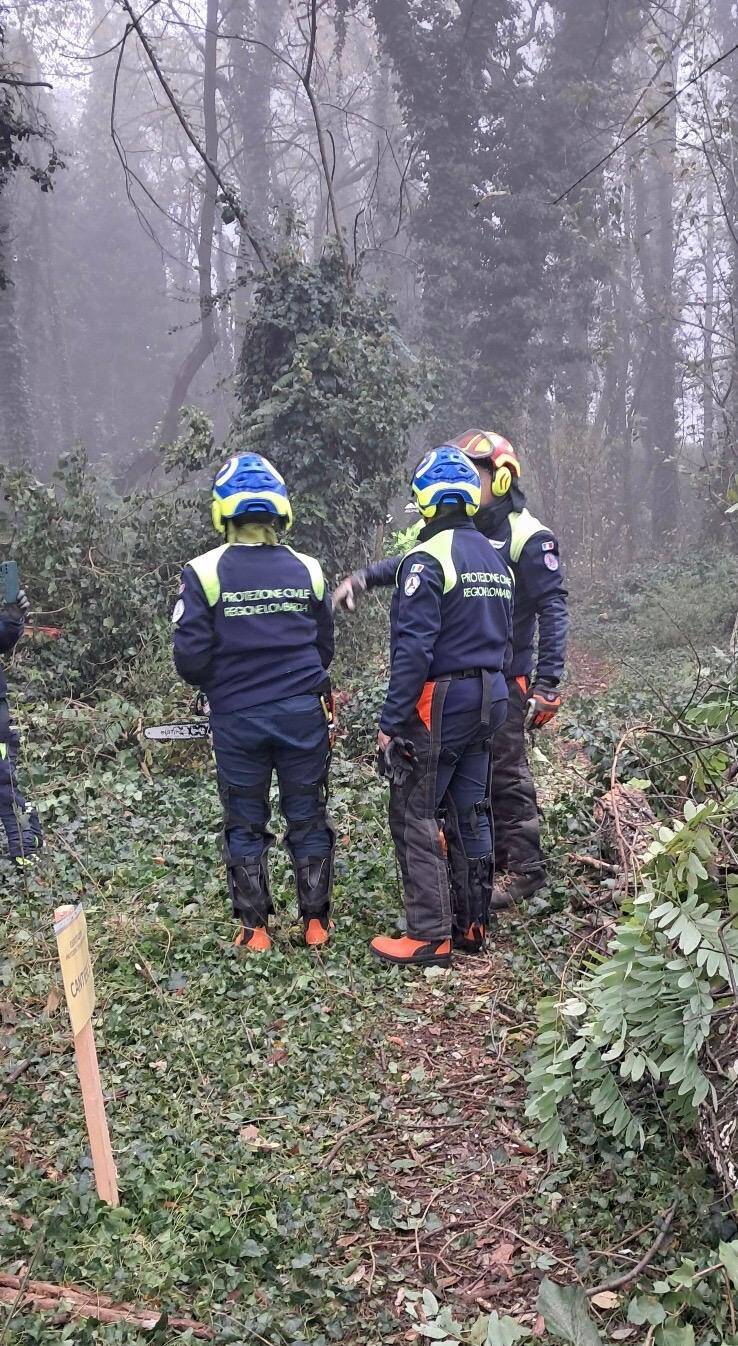 Maxi esercitazione di Protezione Civile, a Parabiago volontari all'opera per il taglio boschivo