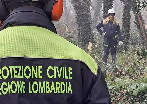 Maxi esercitazione di Protezione Civile, a Parabiago volontari all'opera per il taglio boschivo