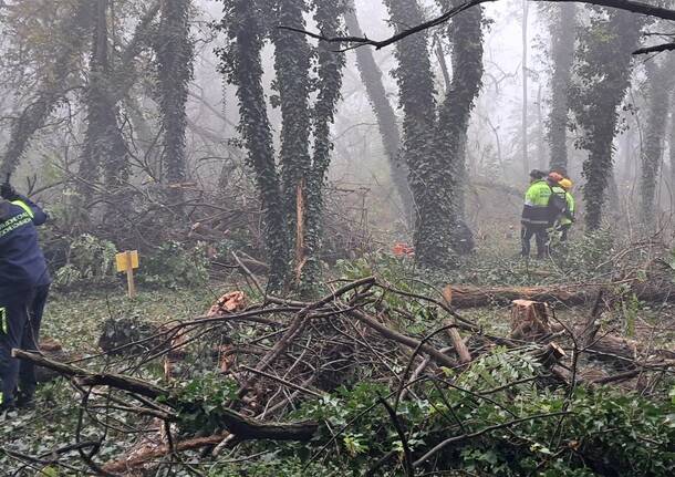 Maxi esercitazione di Protezione Civile, a Parabiago volontari all’opera per il taglio boschivo