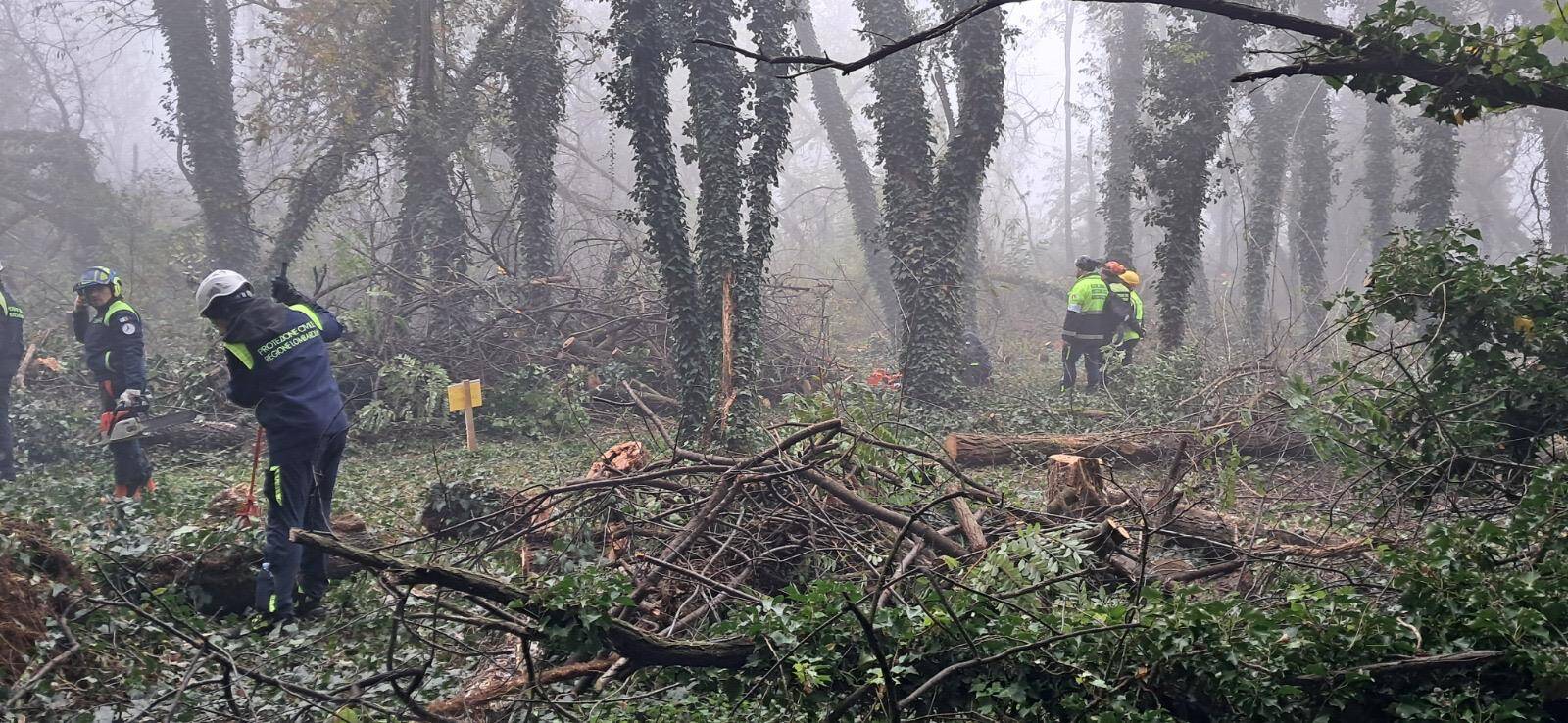 Maxi esercitazione di Protezione Civile, a Parabiago volontari all'opera per il taglio boschivo