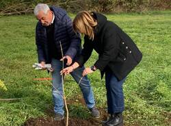 orazio tallarida laura rogora alberi nuovi nati