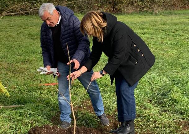 orazio tallarida laura rogora alberi nuovi nati