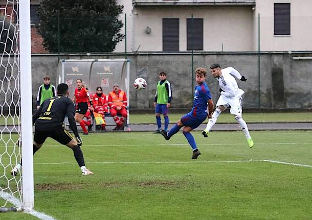 varesina castellanzese calcio foto Aldo Massarutto