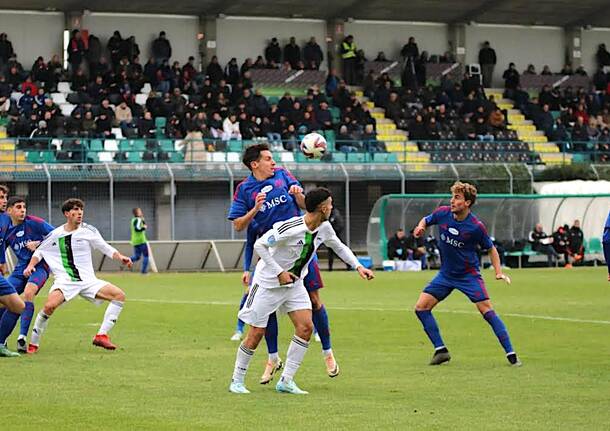 varesina castellanzese calcio foto Aldo Massarutto