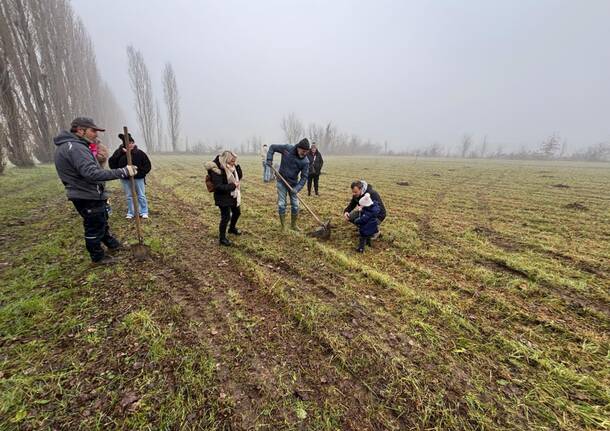 A Nerviano 86 nuovi alberi per i bimbi nati in paese nel 2023