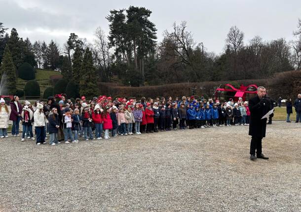 arrivo della luce della pace