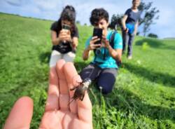 master natura insubria fauna fotografia