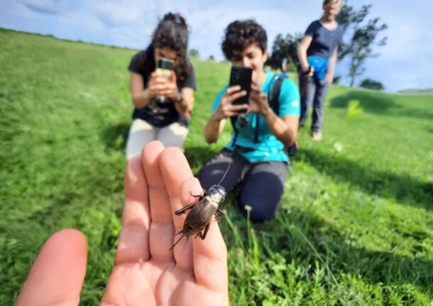 master natura insubria fauna fotografia