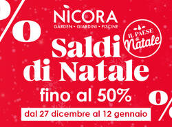 I saldi del paese di Natale di Nicora Garden