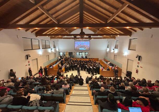 Le benemerenze civiche di Gallarate