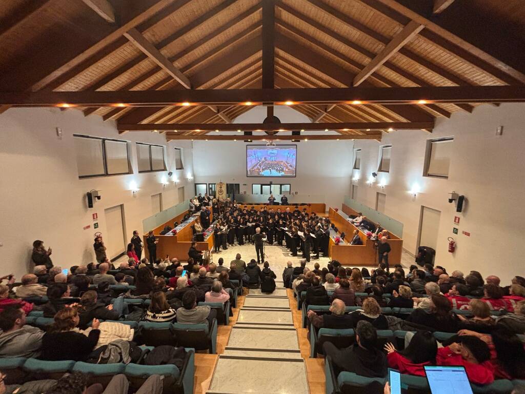 Le benemerenze 2024 di Gallarate