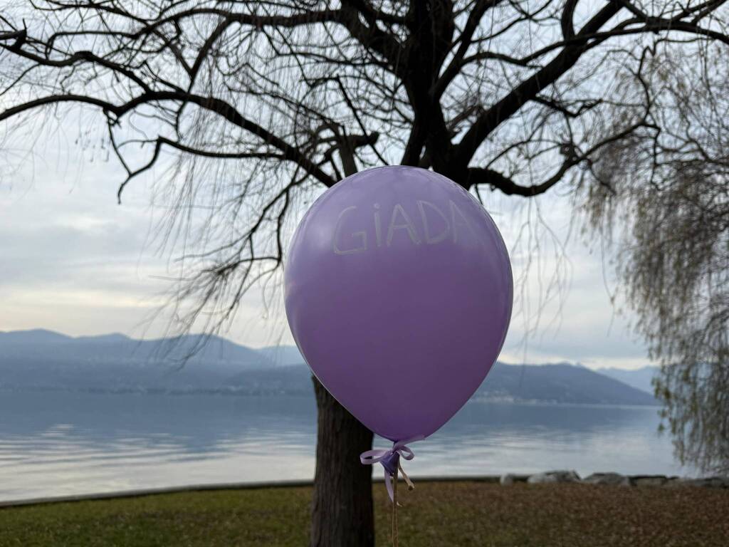 Le Farfalle Lilla Lago Maggiore Ispra 