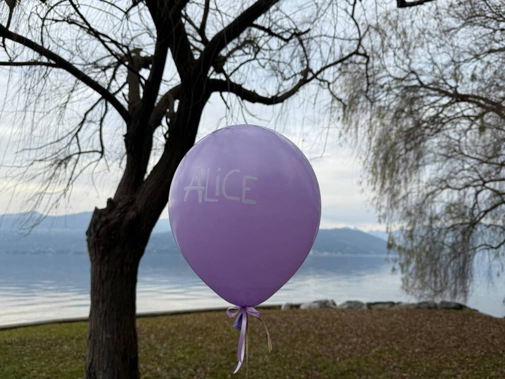 Le Farfalle Lilla Lago Maggiore Ispra 