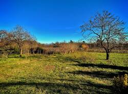 Natura a dicembre